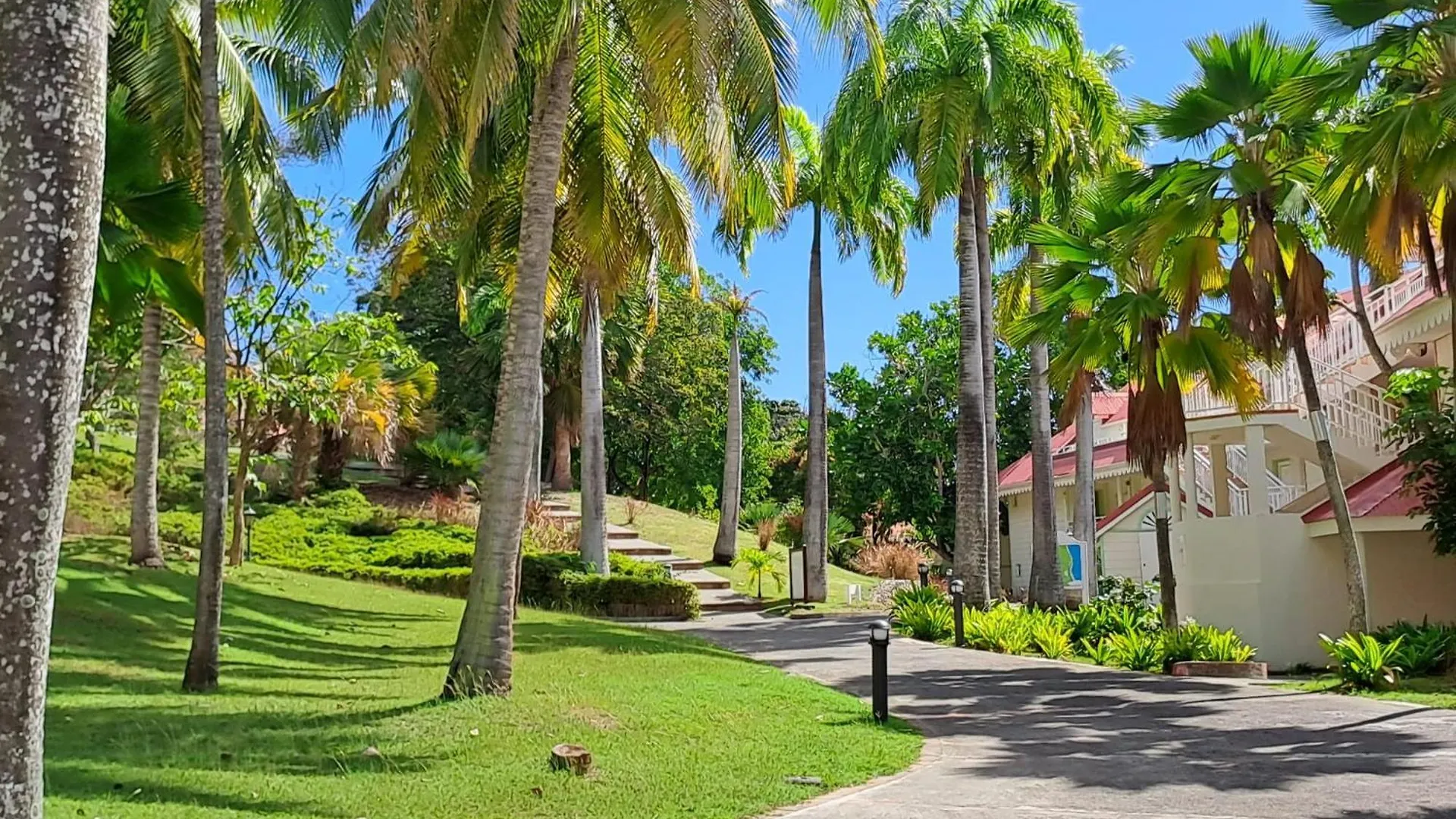 Grand Studio Vue Mer Exceptionnelle, Piscines, Plages. Sainte-Anne 0*,